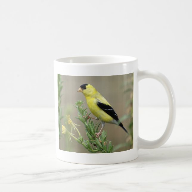 Goldfinch Kaffeetasse (Rechts)