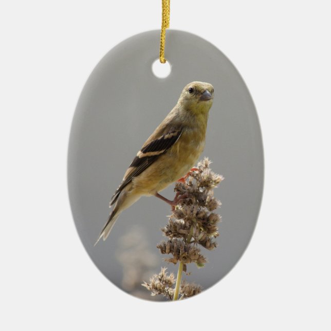 Goldfinch Keramik Ornament (Vorne)