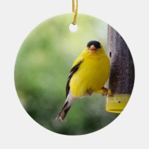 Goldfinch Keramik Ornament
