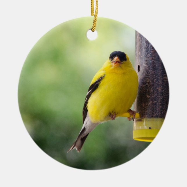 Goldfinch Keramik Ornament (Vorne)