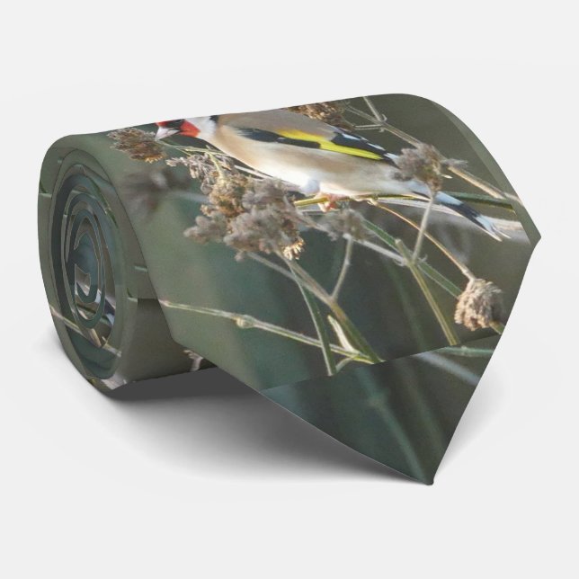 Goldfinch-Krawatte Krawatte (Gerollt)