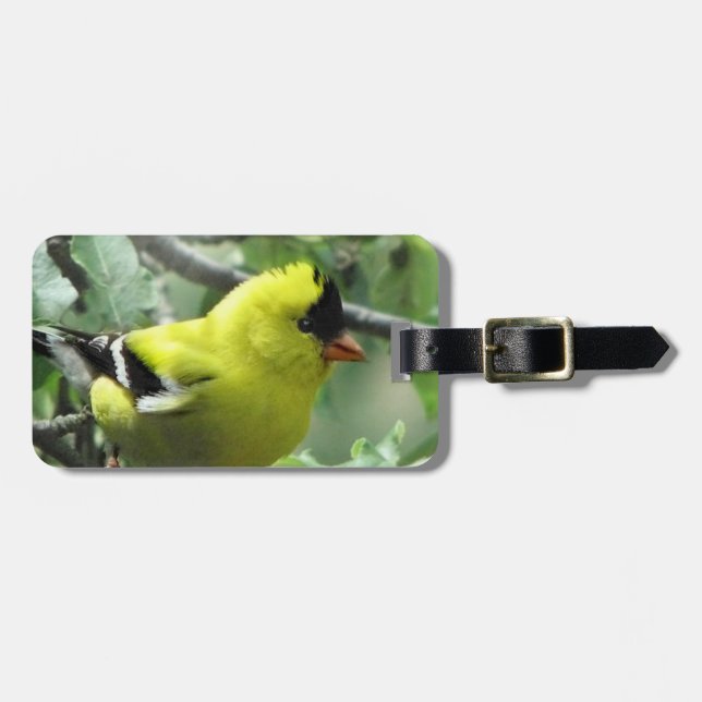 Goldfinch Luggage Tag Gepäckanhänger (Vorderseite horizontal)