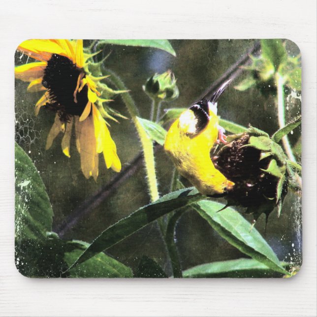 Goldfinch Mousepad (Vorne)