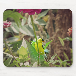 Goldfinch Mousepad