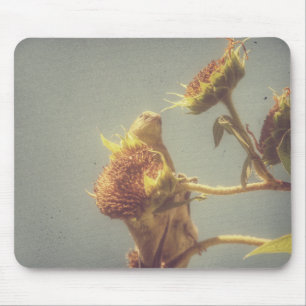 Goldfinch Mousepad