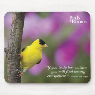 Goldfinch Mousepad