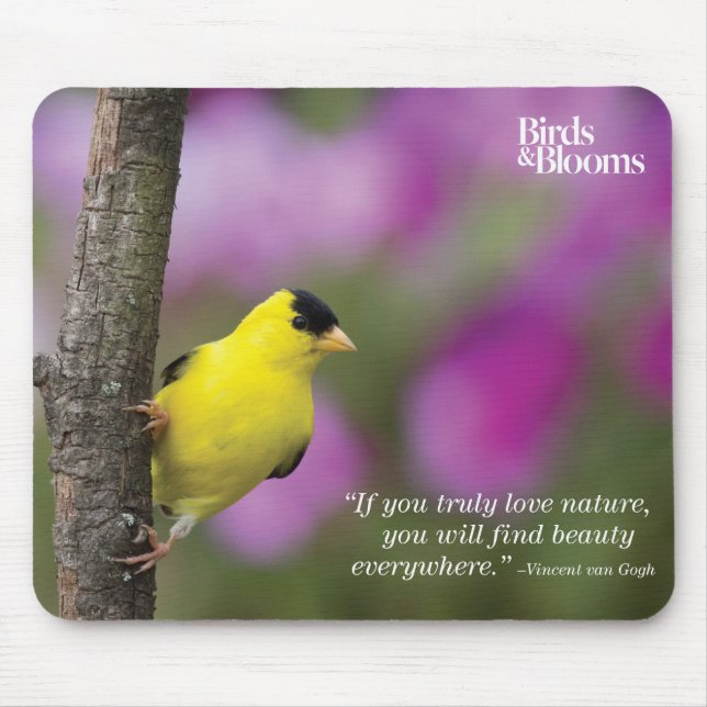 Goldfinch Mousepad (Vorne)