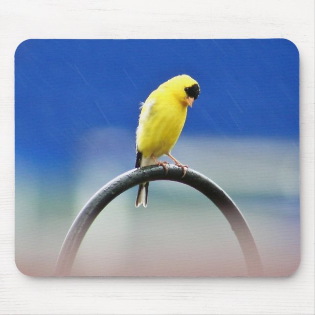 Goldfinch-Mousepad Mousepad (Vorne)