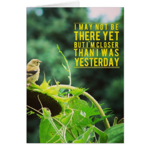 Goldfinch Naher als gestern