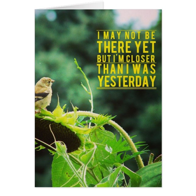 Goldfinch Naher als gestern (Vorne)