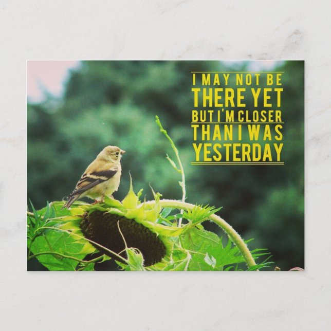 Goldfinch Naher als gestern Postkarte (Vorderseite)