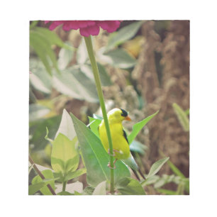 Goldfinch Notizblock