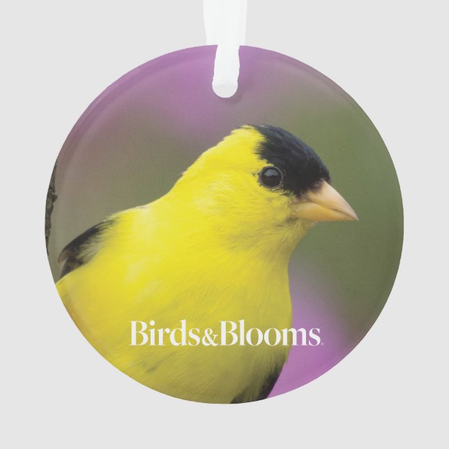 Goldfinch Ornament (Rückseite)