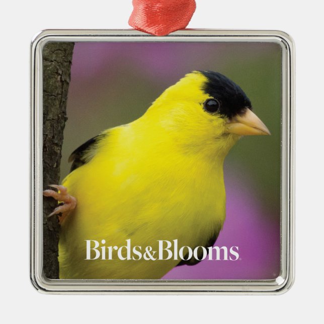 Goldfinch Ornament Aus Metall (Vorne)