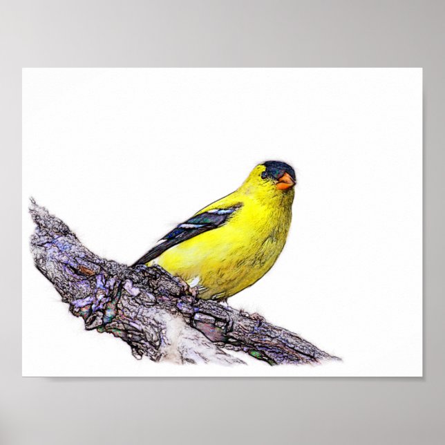 Goldfinch Poster (Vorne)