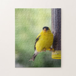 Goldfinch Puzzle