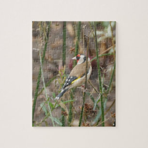 Goldfinch-Puzzle Puzzle