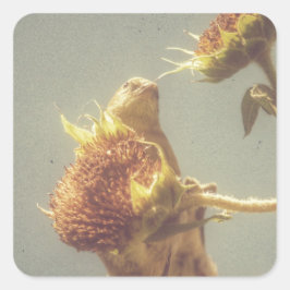 Goldfinch Quadratischer Aufkleber
