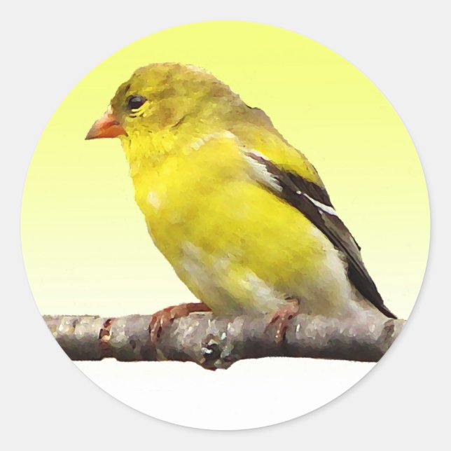 Goldfinch Runder Aufkleber (Vorderseite)