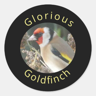 Goldfinch-Sticker Runder Aufkleber