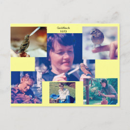 Goldfinch Story 1973 Postkarte