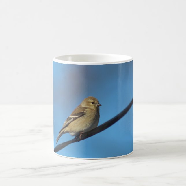 Goldfinch-Tasse Kaffeetasse (Mittel)