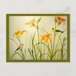 Goldfinch und Daylillies Print Postcard Postkarte