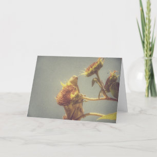 Goldfinch und eine Retro-Fotografie mit Sonnenblum Karte