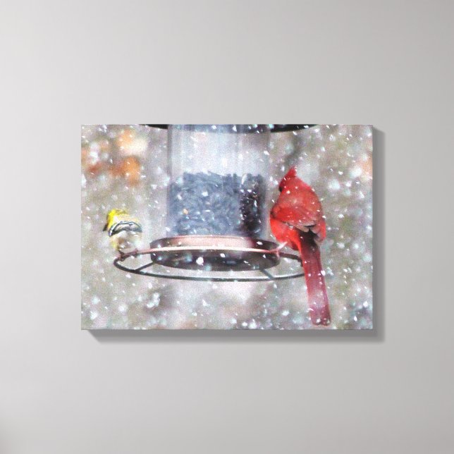 Goldfinch und Kardinal bei Feeder Leinwanddruck (Vorderseite)