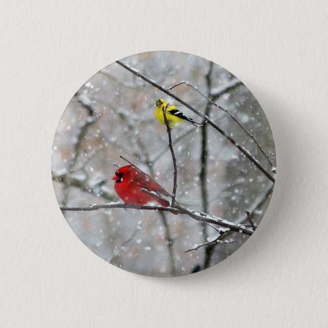 Goldfinch und Kardinal Button (Vorderseite)