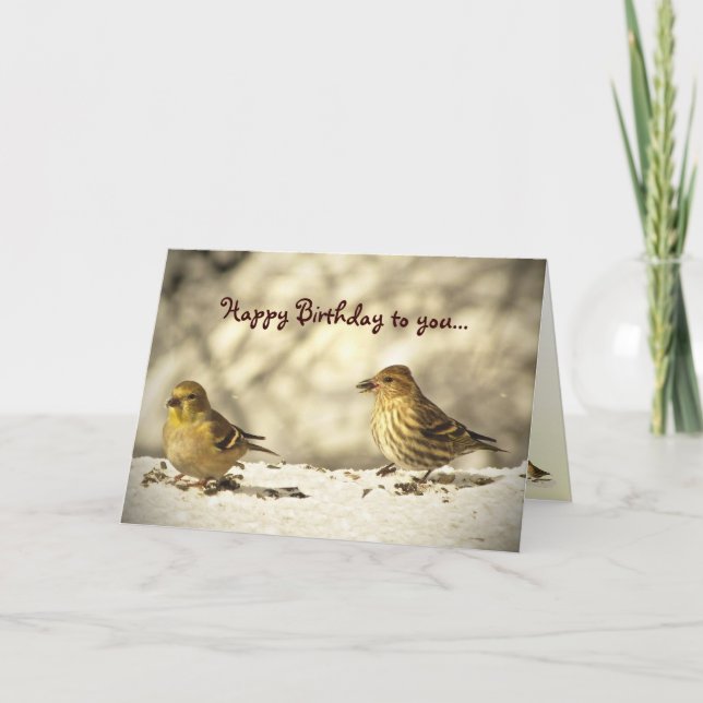 Goldfinch und Pine Siskin zum Geburtstag Karte (Vorderseite)