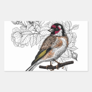 Goldfinch und Rose Rechteckiger Aufkleber