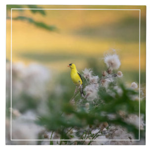 Goldfinch- und Thistle-Herbst Fliese