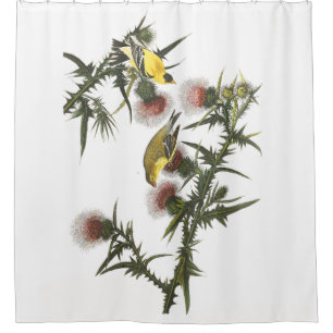 Goldfinch-Vogel-wild lebende Tiere Audubon Duschvorhang