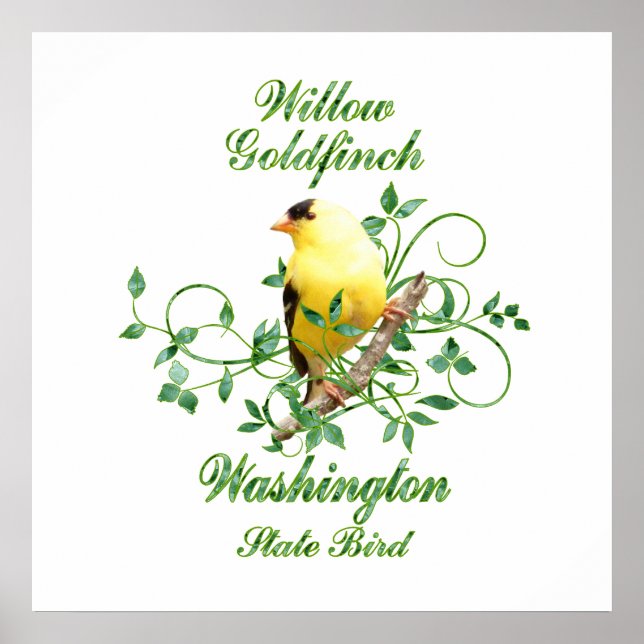Goldfinch Washington Staat Bird Poster (Vorne)