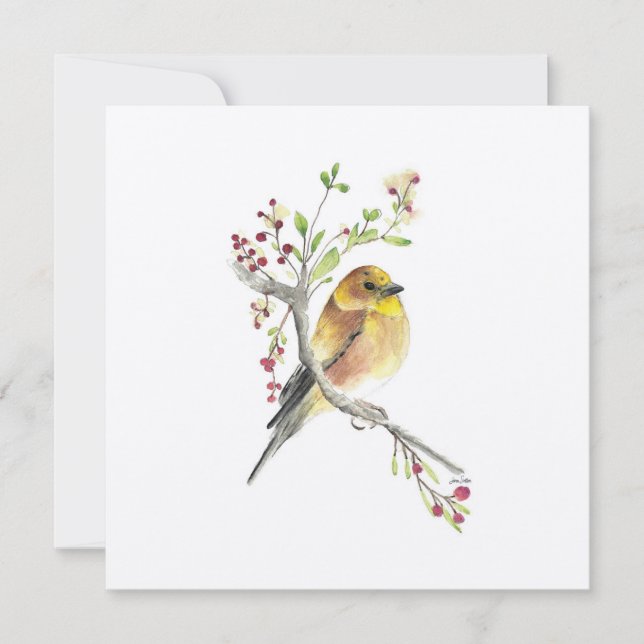 Goldfinch Watercolor Bird (Vorderseite)
