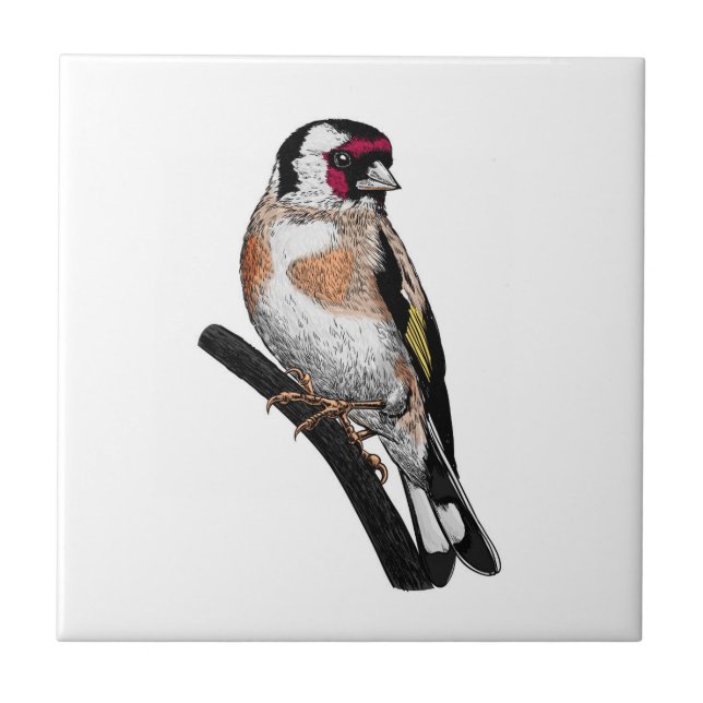 Goldfinch zeichnend fliese (Vorderseite)
