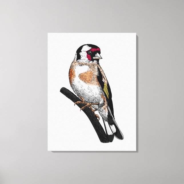 Goldfinch zeichnend leinwanddruck (Vorderseite)