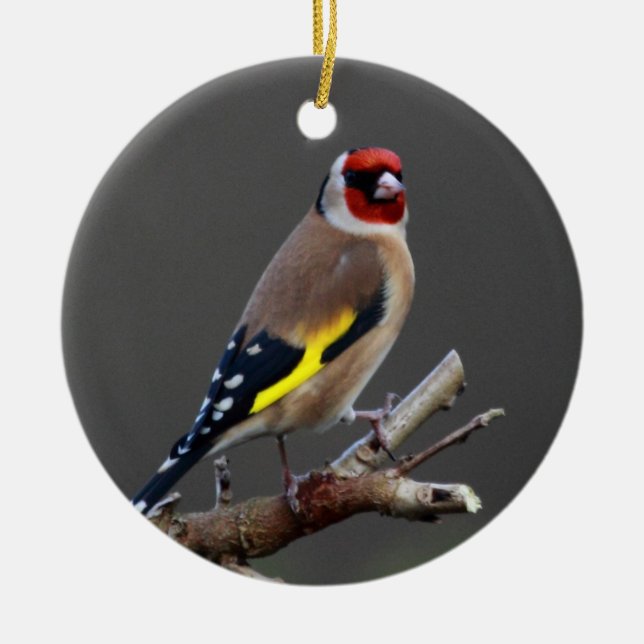 Goldfinchvogel Keramik Ornament (Vorne)