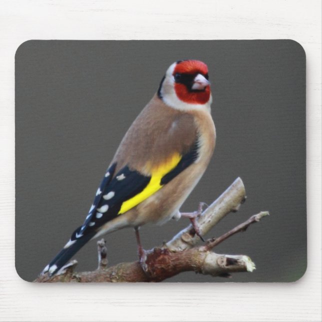 Goldfinchvogel Mousepad (Vorne)