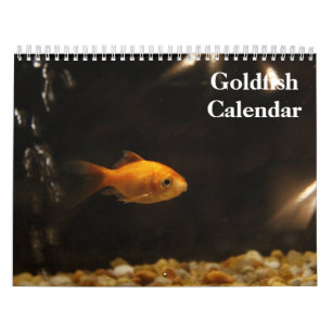 Goldfisch 2025 kalender