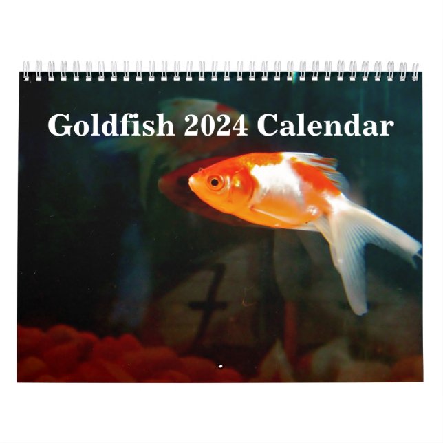 Goldfisch 2025 kalender (Titelbild)