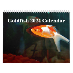 Goldfisch 2025 kalender
