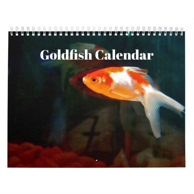 Goldfisch 2027 kalender (Titelbild)
