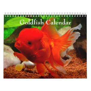 Goldfisch 2027 kalender