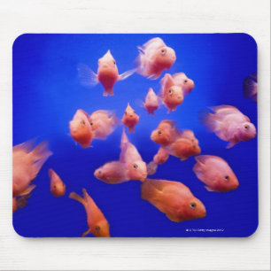 Goldfisch 2 mousepad