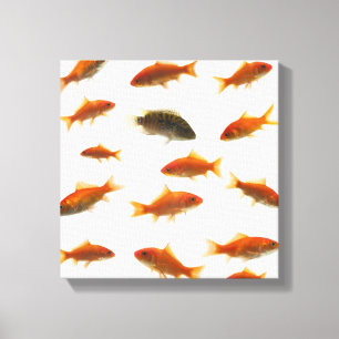 Goldfisch 4 leinwanddruck