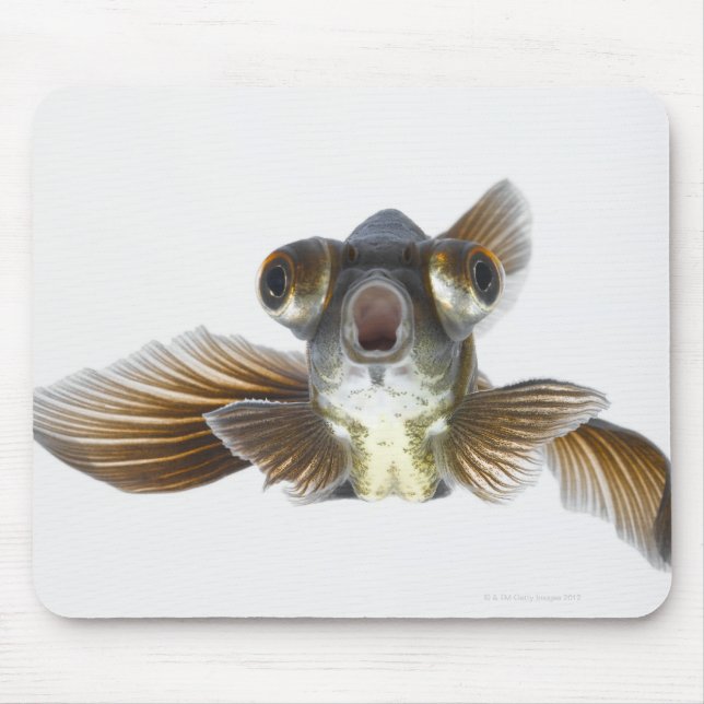 Goldfisch (Carassius auratus) Mousepad (Vorne)