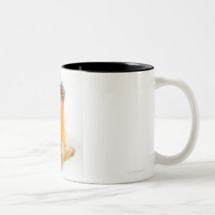 Goldfisch (Carassius auratus) Zweifarbige Tasse