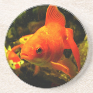 Goldfisch Getränkeuntersetzer